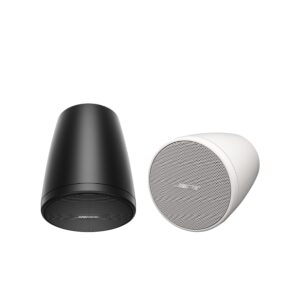 Bose Professional DesignMax DM6PE – Enceinte suspendue extérieure